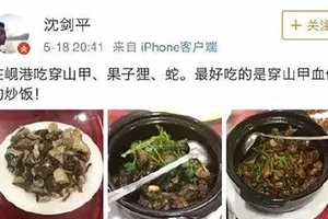 Ăn thịt cầy hương ở VN, sếp công ty Trung Quốc bị sa thải 