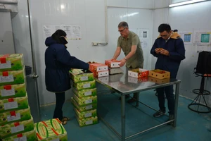 Trái cây 'nếm mật, nằm gai' mang về tỉ đô cho Việt Nam 