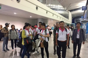 Xuất ngoại hái nấm, làm điều dưỡng lương 37-72 triệu/tháng