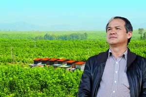 Bầu Đức muốn có thêm tiền trồng ớt, chuối… nhưng bất thành