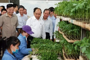 Nông nghiệp manh mún, phụ thuộc nhiều vào thời tiết