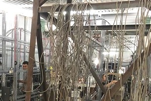 Tiền ảo bitcoin sẽ xuống đáy hay tăng thẳng đứng?