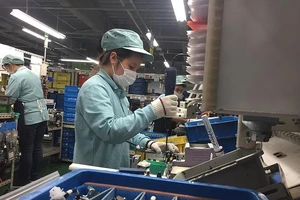 Thực tập sinh kĩ năng Việt Nam đang làm việc tại các nhà máy ở Nhật. Ảnh: P. ĐIỀN