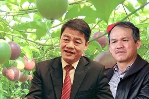 Bầu Đức chính thức chia tay lĩnh vực từng đưa ông lên đỉnh cao