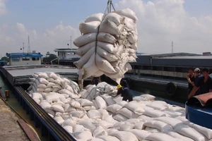 Kêu cứu Thủ tướng Chính phủ vụ đăng ký xuất gạo lúc... 0 giờ