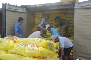 Nghịch lý giá gạo thế giới cao nhưng lại không được phép bán