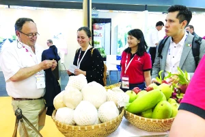 Đóng cửa nhà máy vì cước tàu biển tăng dồn dập