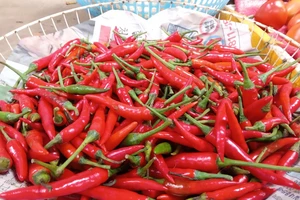 Thanh long được bày bán tại siêu thị 