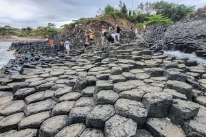 Vẻ đẹp khó cưỡng của ngàn khối đá ở Gành Đá Đĩa, Phú Yên