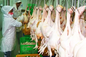 Mang thực phẩm an toàn đặt trên bàn ăn