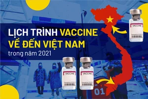  Tình hình nhập và tiêm vaccine ở Việt Nam đến đâu?