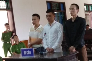 Bốn người sử dụng ma túy, ba người lãnh án