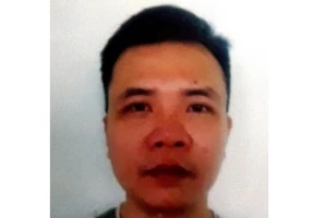 Bị đuổi việc, cựu công chức lừa gần 2 tỉ