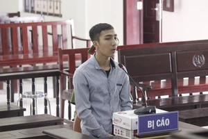 Trộm vàng đi phẫu thuật thẩm mỹ, mua đất, mua xe