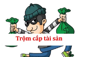 Hết tiền về nước, du khách trộm 30 triệu đồng trên máy bay