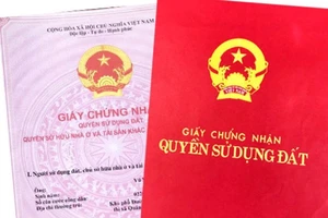 2 cấp tòa xử trái ngược nhau về tiền sử dụng đất