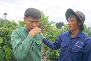 Công lý và nhiệm vụ chính trị nhìn từ vụ cưa gỗ khô