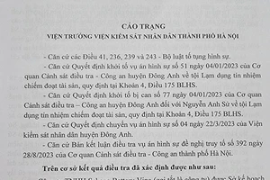 Cựu nhân viên sale lập khống hóa đơn