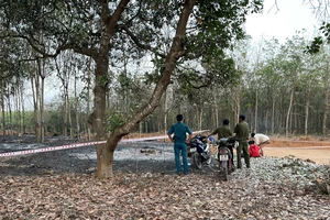 1 người tử vong khi đi đốt lá vườn điều