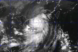 Bão số 4, giật cấp 15-16 áp sát đất liền
