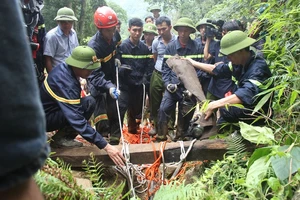 Bộ Quốc phòng vào cuộc giải cứu hai phu vàng dưới hang sâu