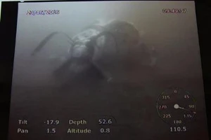 Tìm thấy thêm hai thi thể ở vị trí máy bay CASA 212 bị nạn