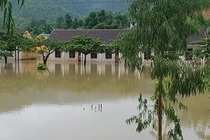 Huy động lực lượng ứng phó với mưa lũ miền Trung