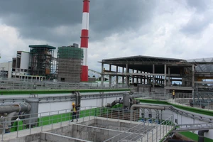 Yêu cầu Lee & Man lập lại đánh giá tác động môi trường