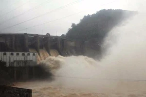 Thủy điện Hố Hô bị phạt 115,5 triệu đồng