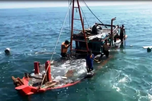 Làm rõ vụ va chạm giữa tàu kiểm ngư và tàu của ngư dân