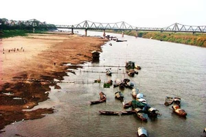 Sông Hồng nguy cấp vì khai thác cát
