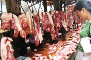 Đề nghị dừng nhập thịt ngoại để cứu heo nội