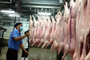 Giá heo tăng 5.000 đồng/kg nhờ giải cứu 