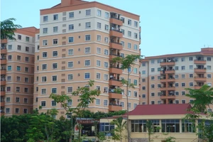 Bộ Xây dựng: Làm căn hộ 25 m2 không sinh ra... ổ chuột