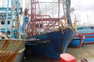 Vụ tàu vỏ thép hư hỏng, sẽ làm việc với cơ quan công an