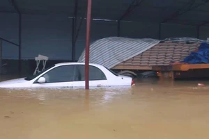 Mưa lũ kinh hoàng: 20 người chết, nhiều người mất tích