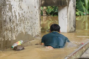 Ngàn ngôi nhà chìm trong lũ dữ và cuộc di dân thần tốc