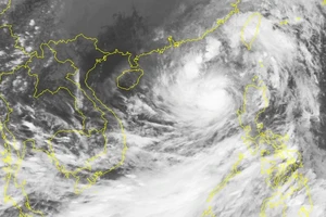 Bão số 11 tiếp tục mạnh lên với diễn biến phức tạp