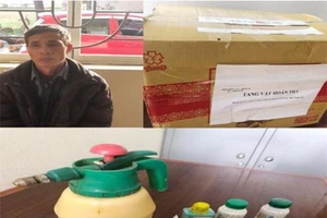 Bắt kẻ gian phá hoại 400 gốc quất của 2 nông dân