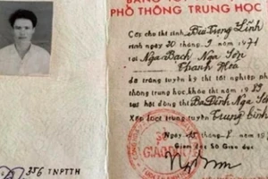 Dùng bằng giả, 2 phó chủ tịch bị cách chức