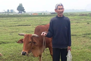 Vụ thu phí trâu bò ở Thanh Hóa: Sẽ xin lỗi dân và trả lại tiền