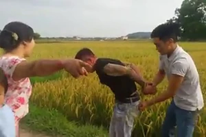 Giang hồ tấn công nông dân ở thôn Đồng Tâm, đòi bảo kê gặt lúa