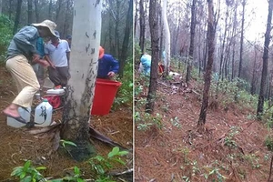 Cựu chủ tịch và phó chủ tịch xã bị bắt vì ăn chặn tiền