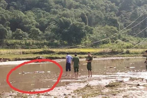 2 vợ chồng trẻ bị điện giật tử vong lúc mờ sáng