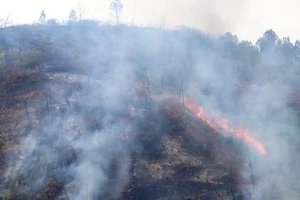 Đêm nay Nghệ An, Hà Tĩnh có mưa vừa đến rất to