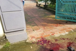 Khởi tố vụ án chồng chém vợ rồi tự sát