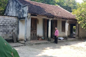 Ảnh chụp cụ Mơ tháng 9-2019. 