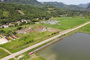 Thanh Hóa công khai 67 dự án vi phạm luật đất đai tại địa phương