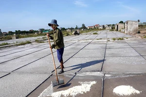 Những diêm dân già trên 'cánh đồng trắng' giữa cái nóng 40 độ C 