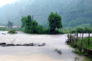 Mưa lớn gây ngập lụt cục bộ nhiều nơi ở Thanh Hóa